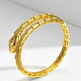 Gold Snake Chain with Diamond Bracelets women men Sterling Sier Gift Designer bracelet Torque Fashion Jewellery love excited Bangle