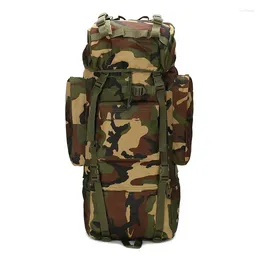 Storage Bags 1PCS Outdoor Sports Mountaineering Bag Backpack Hiking Large Capacity 65L Equipment