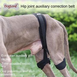 Dog Apparel Pet Protective Gear Hip Joint Auxiliary Correction Belt Injury Recovery Postoperative