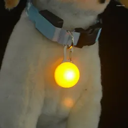 Dog Apparel Pet Safety LED Light Push Button Switch Glow Pendant For Dogs Collar The Dark Bright Decoration Collars Dogs-Multicolor