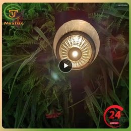 Solar Power Light Outdoor Waterproofing Uniform Brightness Ground Plug Black Lamp Body 1led Lawn