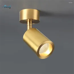 Ceiling Lights Modern Design Copper Light Gold Fixture For Clothing Shop Bar Cafe Living Room Home Decor Luxury Led Cealing Lamps