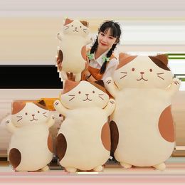 selling 1 Metre giant cute biscuit cat plush toy pillow for home decoration childrens birthday gift comfortable sleep anime doll 240424