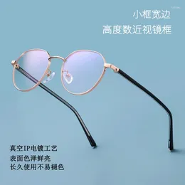 Sunglasses Frames BS1907 2024 Fashion Glasses Frame Comfortable Plate Mirror Leg Flat Light Can Match Height Number Myopia
