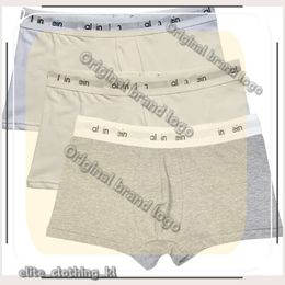 Underpants Mens Underwear Designer Man Sexy Boy Boxers Mens Boxer Briefs Soft Breathable Cotton Waistband Soft Underpants Letter Boxer Comfortable Short Pants 311