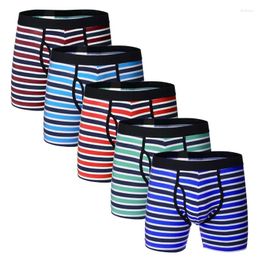 Underpants European And American Men's Underwear Pure Cotton Striped Boxer Lengthened Opening Clause Sports