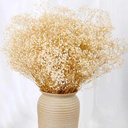 Decorative Flowers 100G Dried Baby Bouquets Beige Gypsophile Natural Dry Flower Gypsophila Wedding Decoration Nordic Home Decor