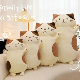 Dumb and Cute Cheese Cat Plush Toy Doll Wholesale Large Size Girl Sleeping Leg Clamping Pillow Doll Gift