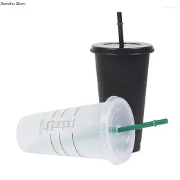 Mugs 710ml Straw Cup With Lid Color Change Coffee Reusable Cups Plastic Tumbler Matte Finish Mug