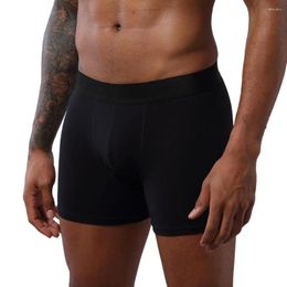 Underpants Comsoft 2024 Men's Underwear Soft Cotton Solid Panties Breathable Boxer Pants Shorts Pure Colour