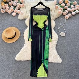 Casual Dresses Women's Spring Summer Sexy Mesh Print Long-sleeved Long Zipper Dress