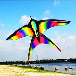 Large Rainbow Bird Kites 100m Line Inflatable Kites Outdoor Sports Kites Flying Toys for Kids Children Kites Beach Flying Kites 240419