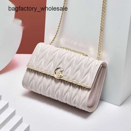 Best Selling Shoulder Bag New 90% Factory Direct Sales Golden Fox Bag New Trendy and Fashionable Genuine Leather Womens Small Fragrant Wind Crossbody On Bag