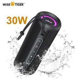WISETIGER P3 Portable Bluetooth Speaker 30W IPX7 Waterproof Powerful Sound Box Bass Boost BT53 RGB Dual Pairing TWSConnectivity 240419