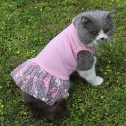 Dog Apparel Breathable Mesh Cat Puppy Dress Sleeveless Cake Skirts For Small Medium Dogs Kitten Blue Pink Spring Summer Outfits