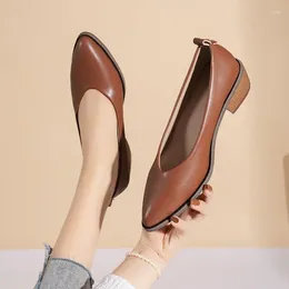 Dress Shoes Women Pumps Pointed Toe Thick Heels Spring Autumn Office Ladies Pu Leather Fashion Elegant Woman