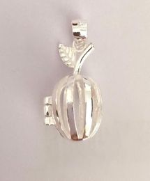 Solid 925 Silver Apple Locket Charm Can Open Cage Pendant Sterling Silver Pendant Mounting For DIY Bracelet Necklace Jewelry9288593