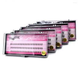 False Eyelashes 60 Unit Women Boxed Natural Curl For Grafting Eyelash Extension Beautiful Useful