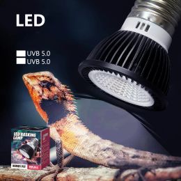 Lighting Nomoy 110220V Crawl Pet Turtle Uvb Sun Back Light Led Light Lizard Mane Lion UV Calcium Supplement Light Sun Lamp