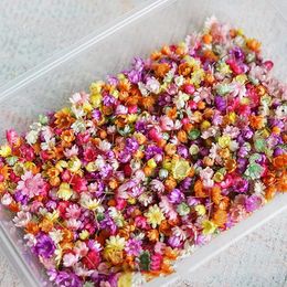 Decorative Flowers 100/200pcs Artificial Flower For DIY Resin Candle Making Jewellery Fill Art Craft Home Decor Party Decoration Artwork Po