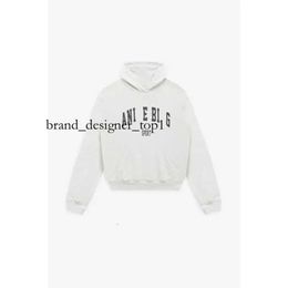 Anines Hot Sale 23SS Women Desginer Anines Binge Sweatshirt Fashion Cotton Hooded New AB Anines Binge Classic Letter Print Wash Water Color Snowflake Hoodies 5613