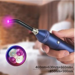 Profession Red Blue Light LED Physiotherapy Flashlight Canker Sore Treat Devices Therapy Lip Nose Ears Body Muscle 240424