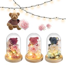 Rose Lovely Teddy Bear In Glass with LED Cute Bear Eternal Rose In Glass Preserved Roses Bear Gifts for Girlfriend Lover Present 240418