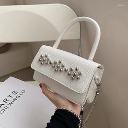 Shoulder Bags Original Brand Handbag 2024 Fashion French High-end Messenger Bag Female Western Style Square