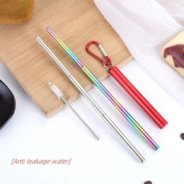 Drinking Straws Reusable Collapsible Straw 304 Stainless Steel Metal Set With Brush Case Portable For Travel