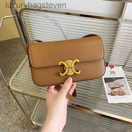 High Level Original Cellin Designer Bags Popular New New Fashion French Light Luxury Texture Single Shoulder Crossbody Womens Bag with Brand Logo