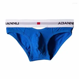 Underpants Cotton Sexy Men Underwear Bikini Briefs Soft Cool Mens Shorts Panties Gay Male