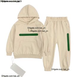 Autumn Winter 2-13years childrens Clothing hoodie Sets BABY boys girls cotton Garment kids Designer printing high quality Outdoor sports sweater pants 2 PC Set