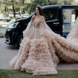 Casual Dresses Amazing Champagne Fluffy Tiered Tulle Bridal With Long Train See Thru Puff Sleeves Tutu Wedding Gowns