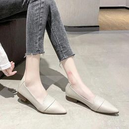 Dress Shoes 2024 Spring & Autumn Flat Bottom Single Shoe Women's Pointed Tip Shallow Mouth Soft Sole Doudou Lefu