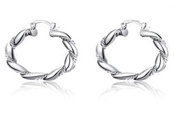 Charm Dress Up Girl Silver Jewellery Hoop Earring European Style Creative ed Rope Round For Women Exquisite Git Present16127143