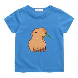 T-shirts Capybara Aesthetic Comic T-shirt Cute Cartoon Comic T-shirt Fashion 100% Cotton Anime T-shirt Street Boys/Girls T-shirtL2404