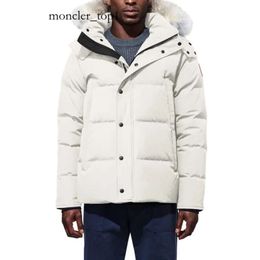 CAN Men Designer Real Coyote Canada Puffer Jackets Fur Outdoor Wyndham Windbreaker Jassen Outerwear Hooded Fourrure Manteau Down Jacket Coat Hiver Parka 8502