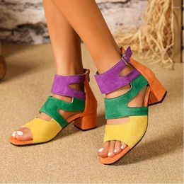 Dress Shoes WOMEN'S Colorblock Chunky Heel Sandals Fashion Square Toe Pumps Stylish Back Zipper Heels