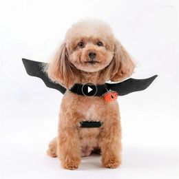 Cat Costumes Cosplay Props High-quality Materials Unique Design Pleasure Trend Black Must Have Durable Clothes Costume Dog Clothing