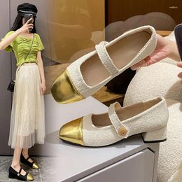 Dress Shoes French In Spring 2024 Casual Fashion Women's With Skirt Temperament Single Medium And Low Heels