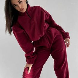 Women's Two Piece Pants Women Fleece Suit Loose Long Sleeve Sweatshirt And High Waist Trousers 2 Pieces Set Female 2024 Winter Fashion Warm