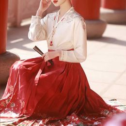 Ethnic Clothing Vintage Hanfu Horse Face Skirt Women Chinese Traditional Hanfu Pleated Skirts Ming Dynasty Retro Jacquard Hanfu Fairy Dress