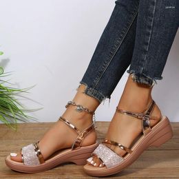 Dress Shoes Women's Sandals Summer Slope Heel Platform Soft Sole Gold Silver Colour Trendy 2024 Outdoor Wedges Pumps