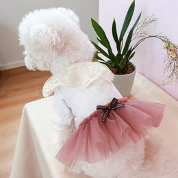 Dog Apparel Wedding Dress Summer Cat Dresses Puppy Skirt Tutu Cute Bowknot Clothes Chihuahua Pomeranian Yorkshire Clothing