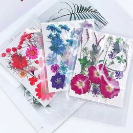 Dried Flowers 1 Bag Dried Flowers Diy Pressed Flowers Stickers For Phone Case Jewellery Making Crafts Nail Art Decor Diy Party Home Decor