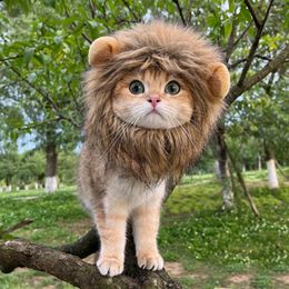 Cat Costumes Cat's And Dog's Headwear Cosplay Lion Cute Pet Hat Headgear Puppy Kittens Shoot Picture Funny Cool Supplies