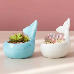 Planters Pots Cute Whale Flower Pot Juicy Ceramic Plant Home Decoration Desktop Bonsai Garden Q240429