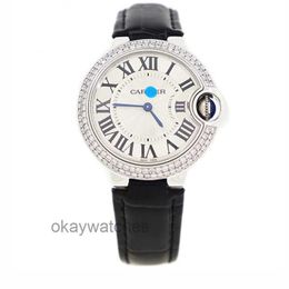 Unisex Dials Automatic Working Watches Carter Luxury Selection Blue Balloon 33mm Quartz Watch Womens WSBB0034