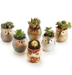 6pcslot Ceramic Owl Flower Pots Planters Flowing Glaze Base Serial Set Succulent Cactus Plant Container Planter Bonsai Pots Y20078699901