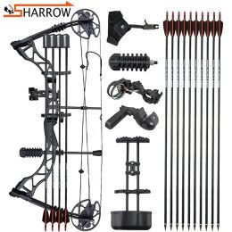 Darts KAIMEI QIN 3570lbs Archery Compound Bow and Mix Carbon Arrow Set For Right Hand Shooting Adults Hunting Outdoor Sports Bows